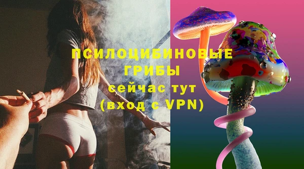 2c-b Белокуриха