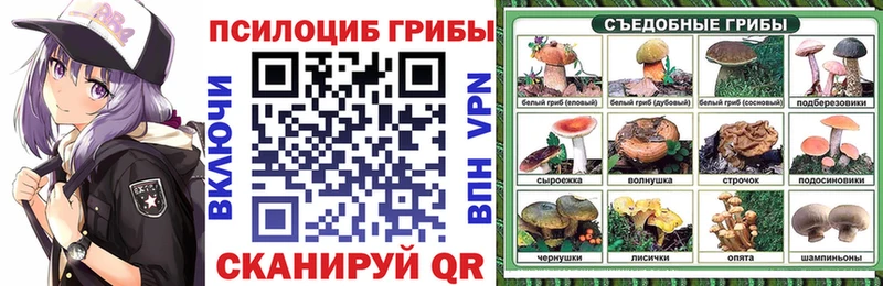 Галлюциногенные грибы Psilocybe купить закладку Горбатов